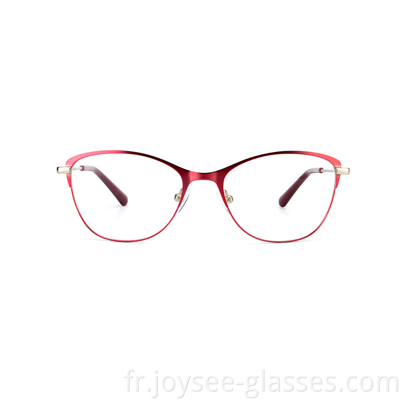 Two Tones Metal Eyeglasses 7